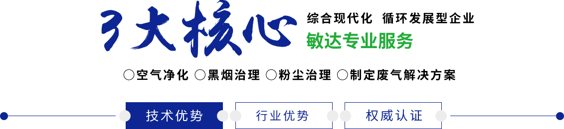 日本内射视频插B敏达环保科技（嘉兴）有限公司